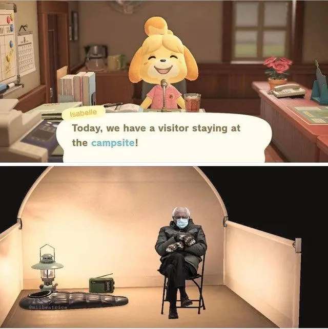 Bernie Sanders Crossing Compilation