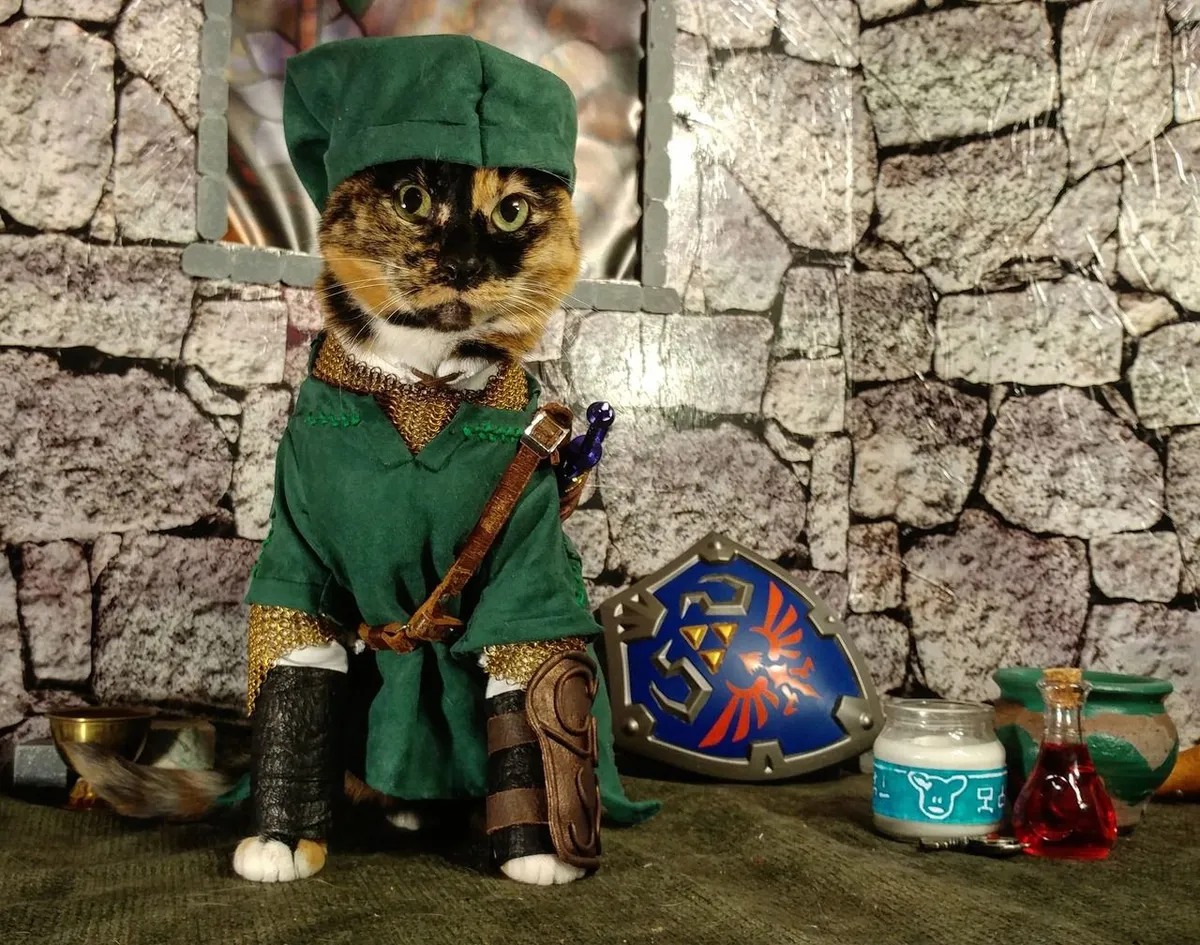 Legend of Zelda Link Cat Cosplay