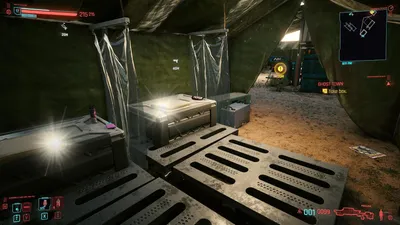 The Beauty of the Desert - highlighted