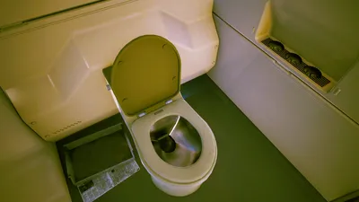 Cyberpunk Three Seashells