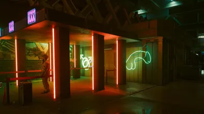 Cyberpunk Light Show