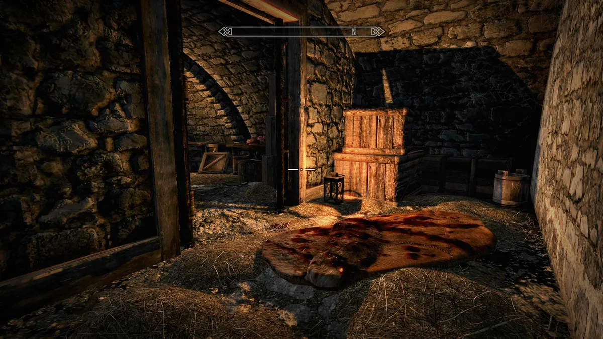 Skyrim Enderal Mirell's Basement Shitter