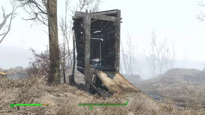 Sunshine Tidings Shitters