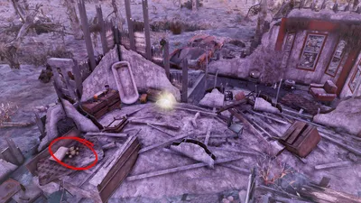 Fallout 76 Graninger Farm Shitter - highlighted