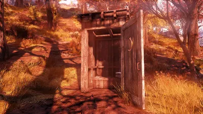 Isolated Cabin Shitter