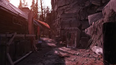 Raiders are like Lesser Primates