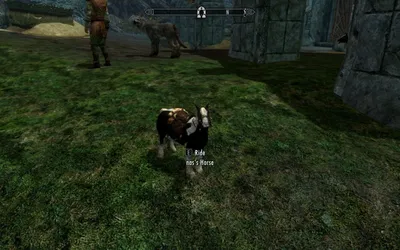 Tiny Horse Skyrim Mod