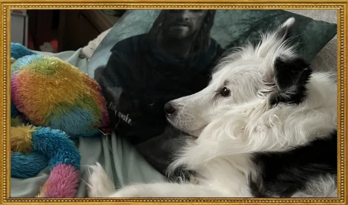 Bucket Brigadier 2023