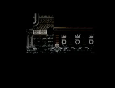 Cat in the Box in the Shitter