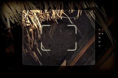 Museum Quality - highlighted