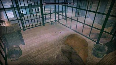 Skyrim's Prison Shitters