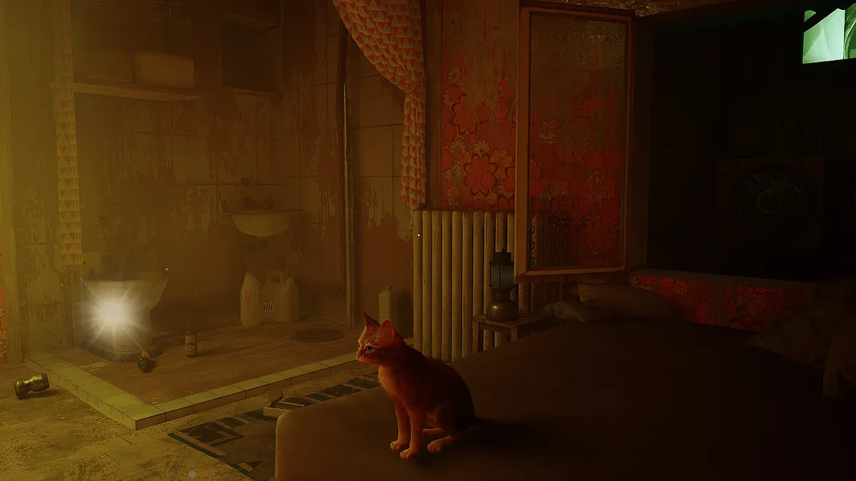 Stray The Flat - highlighted