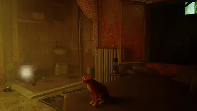 Stray The Flat - highlighted