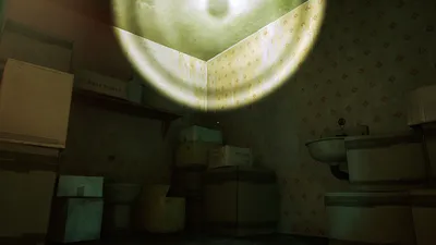 Stray Momo Fall from Grace