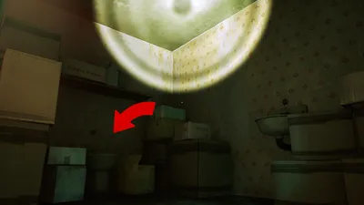 Stray Momo Fall from Grace - highlighted