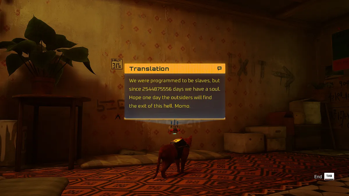 Stray Momo Fall from Grace