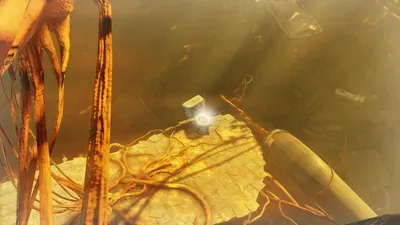 Tanagra Town Shitters - highlighted