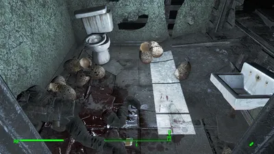 Museum of Witchcraft shitter!